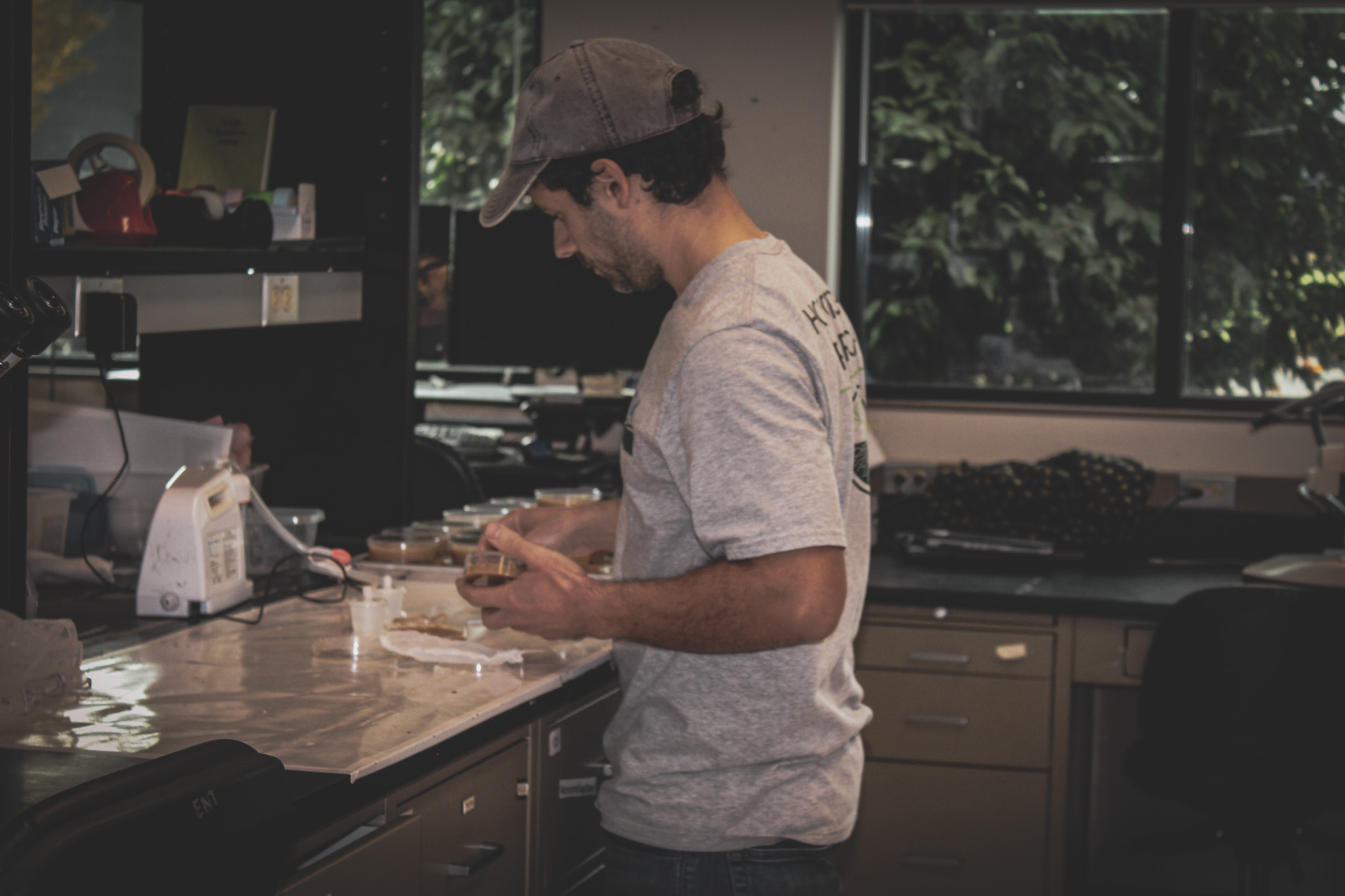 Researcher conducting applied research at laboratory bench