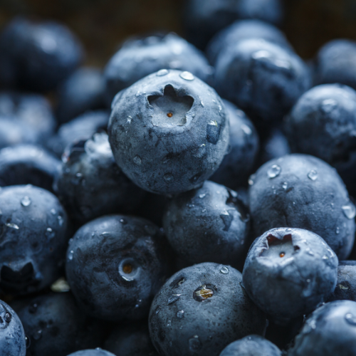 Read more about the article Evaluating Commercially Available Technologies for Weed Management in Blueberries: Saturated Steam and Rotary Brush
